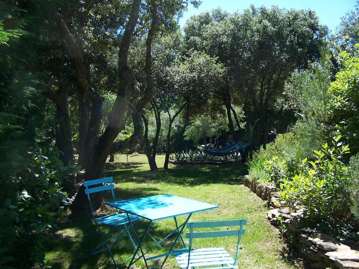 Les Florides Apartment L'Isle-sur-la-Sorgue Luaran gambar