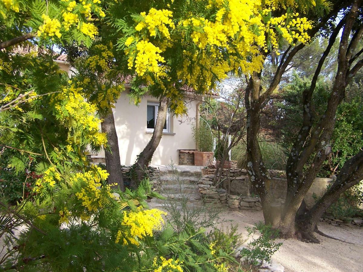 Les Florides Apartment L'Isle-sur-la-Sorgue Luaran gambar