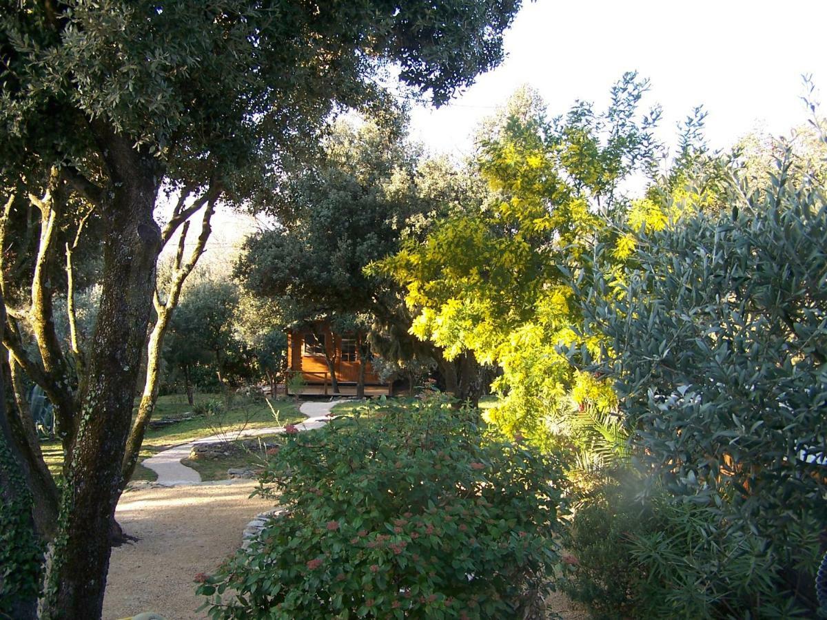 Les Florides Apartment L'Isle-sur-la-Sorgue Luaran gambar